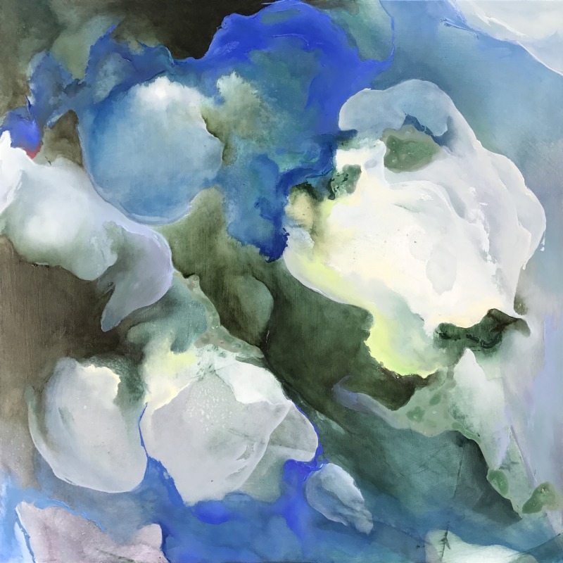 Hydrangea-1