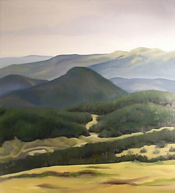 Old Fall River Road Vista