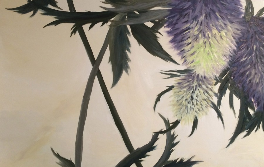 Thistle Study 24 x 36