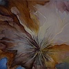 Thistle 10 x 10