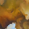 underthesplit-leafmaple-5 8 x 8